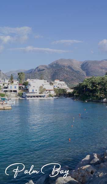 Palm-Bay