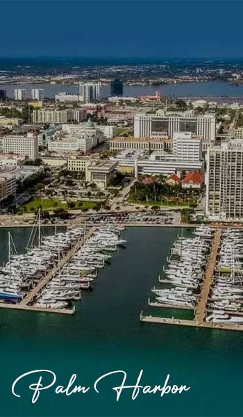 Palm-Harbor